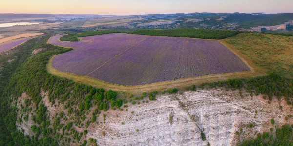 Sísmica de Refracción reconocimiento del terreno