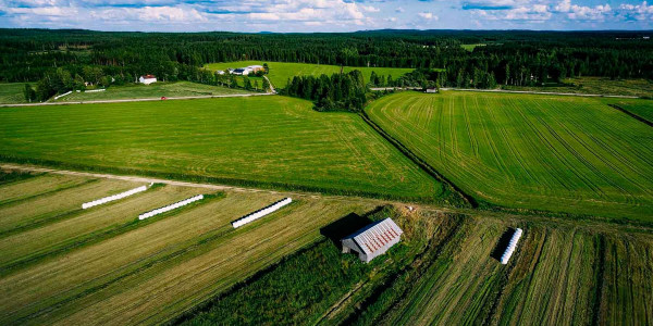 Estudios de suelos agrícolas en el Alt Camp